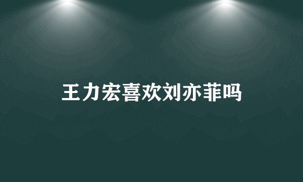 王力宏喜欢刘亦菲吗