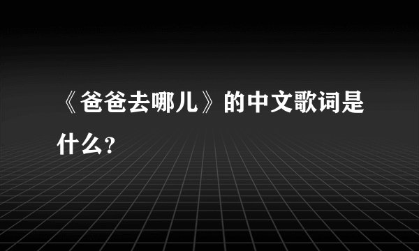 《爸爸去哪儿》的中文歌词是什么？