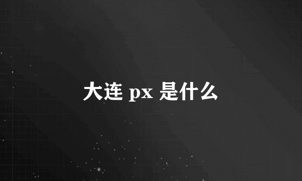 大连 px 是什么