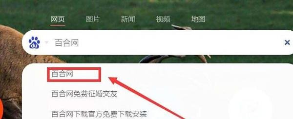 百合网会员手机登录