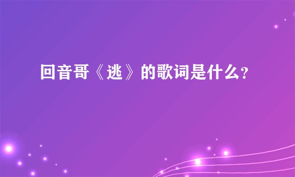 回音哥《逃》的歌词是什么？