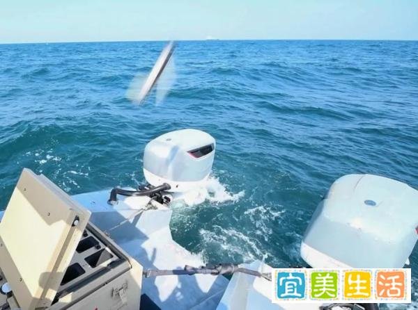 美海军推出新的“机器人作战专家”评级，组建有人/无人混合舰队，开启技术之旅