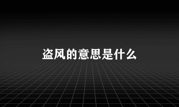 盗风的意思是什么
