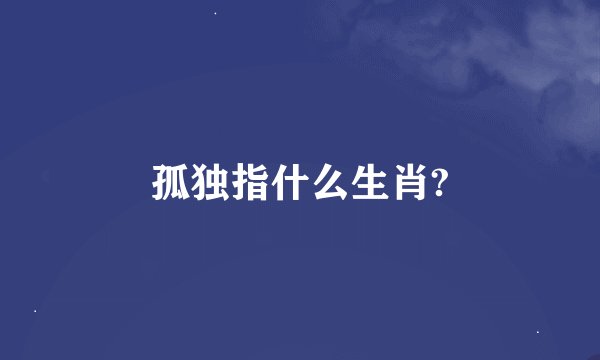 孤独指什么生肖?