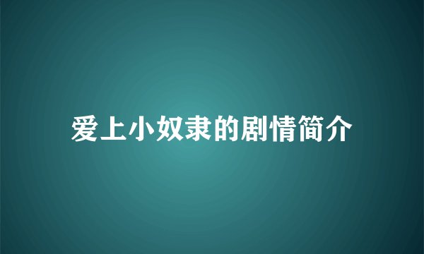 爱上小奴隶的剧情简介