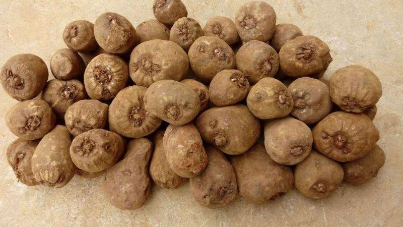 男子偷魔芋打赏女主播，超出自己承受范围打赏的人是什么心理？