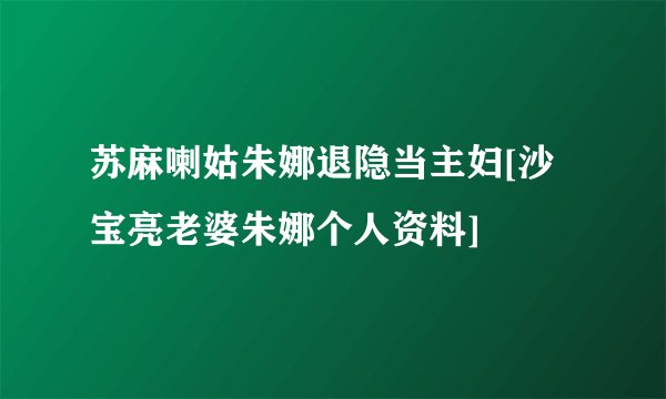 苏麻喇姑朱娜退隐当主妇[沙宝亮老婆朱娜个人资料]