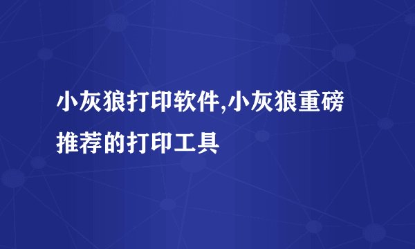 小灰狼打印软件,小灰狼重磅推荐的打印工具