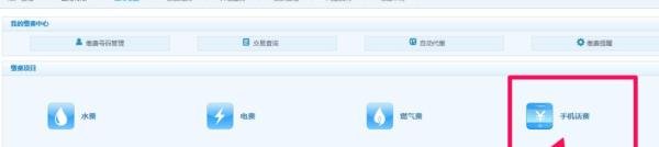 怎样用网银交话费