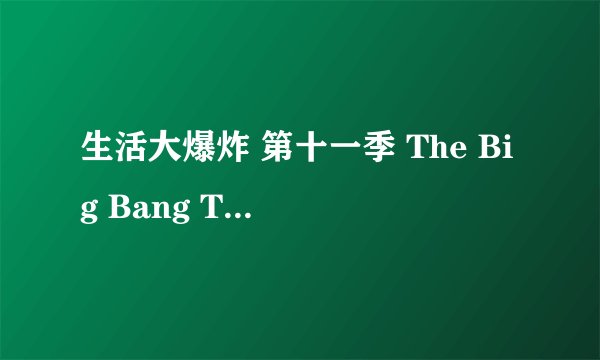 生活大爆炸 第十一季 The Big Bang Theory Season 11 (2017)全集未删减高清版免费下载