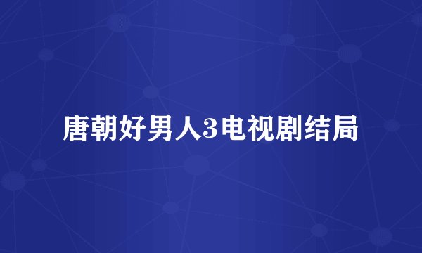 唐朝好男人3电视剧结局