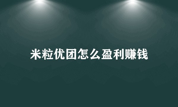 米粒优团怎么盈利赚钱