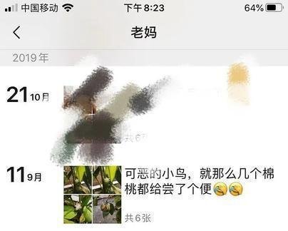 王俊凯送的棉花被粉丝妈妈种了