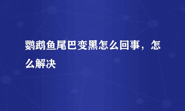 鹦鹉鱼尾巴变黑怎么回事，怎么解决