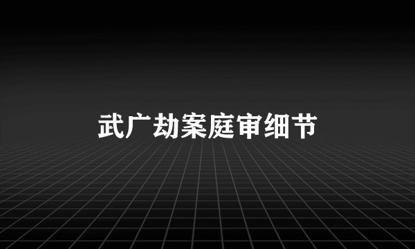 武广劫案庭审细节