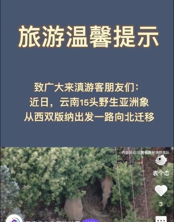 云南离群独象与象群距离增至10公里 这是咋情况?