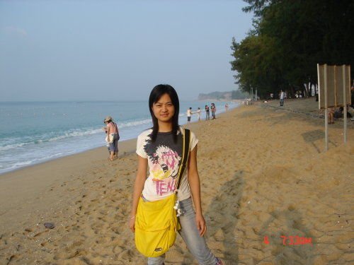 金山贝壳的介绍