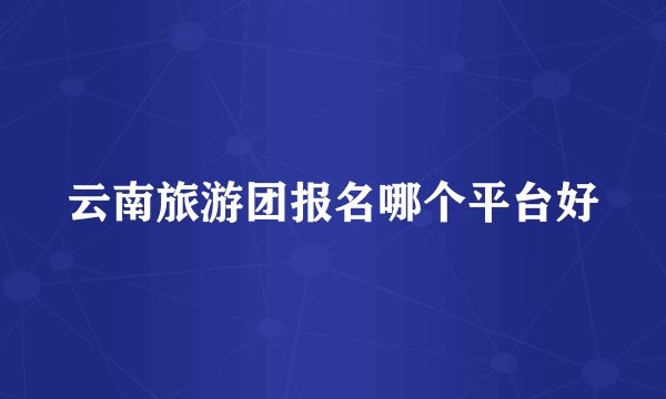 云南旅游团报名哪个平台好