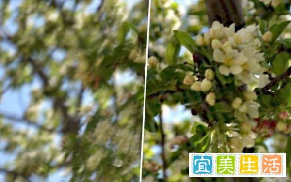 PS专业去模糊插件Piccure送给你！一定是你找了很久的那一个
