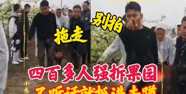 叶县强拆果园后续：领导带400多人强拆，多部门已经介入调查！