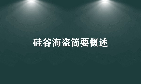 硅谷海盗简要概述