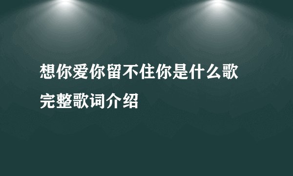 想你爱你留不住你是什么歌 完整歌词介绍