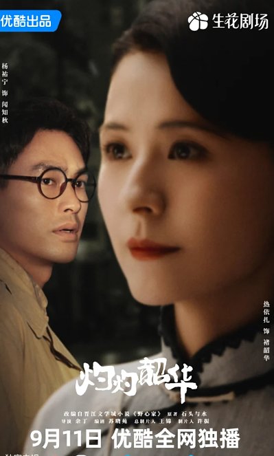 灼灼韶华电视剧全部演员表
