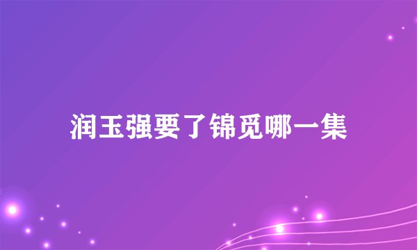 润玉强要了锦觅哪一集