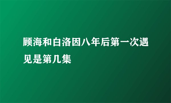顾海和白洛因八年后第一次遇见是第几集
