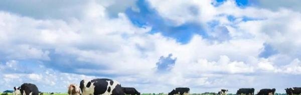 托普康儿谱力纳羊奶粉怎么样？看完这篇你就知道买不买
