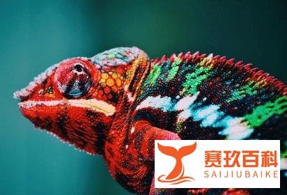 通货膨胀与股市之间是什么关系？