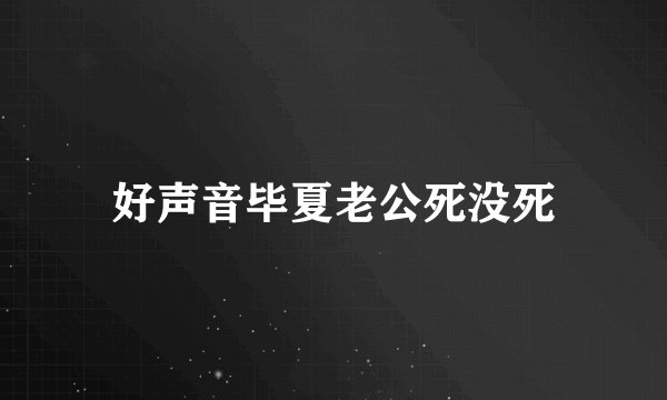 好声音毕夏老公死没死