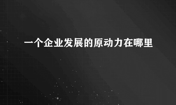 一个企业发展的原动力在哪里