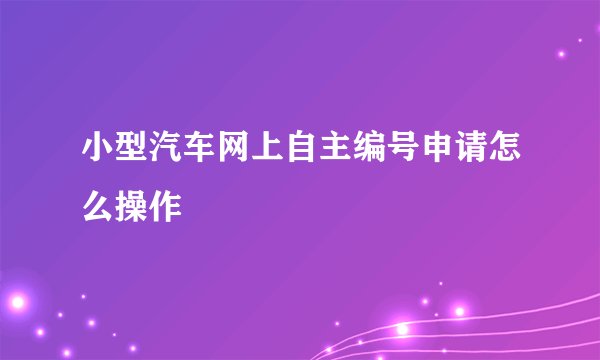 小型汽车网上自主编号申请怎么操作