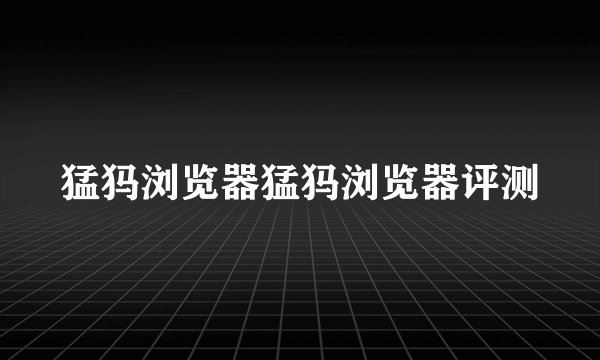 猛犸浏览器猛犸浏览器评测