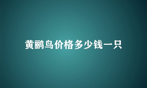 黄鹂鸟价格多少钱一只