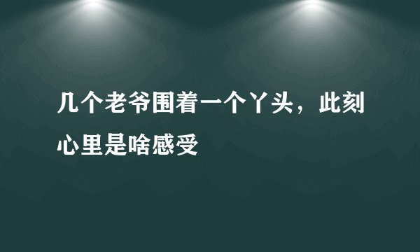 几个老爷围着一个丫头，此刻心里是啥感受