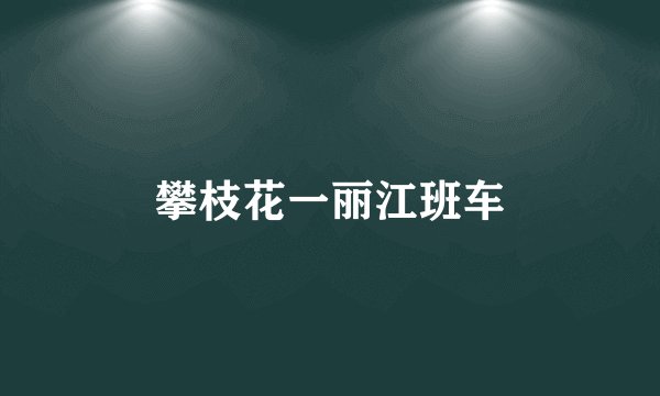 攀枝花一丽江班车