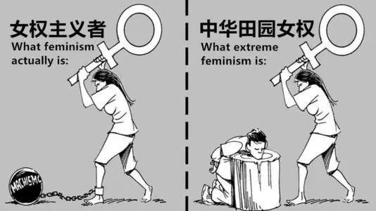 田园女是什么意思