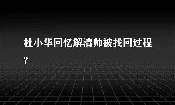 杜小华回忆解清帅被找回过程?