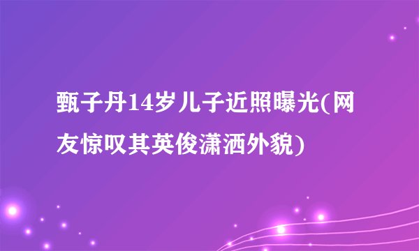甄子丹14岁儿子近照曝光(网友惊叹其英俊潇洒外貌)
