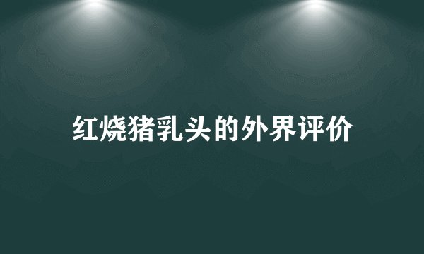红烧猪乳头的外界评价