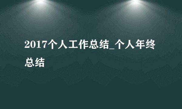 2017个人工作总结_个人年终总结