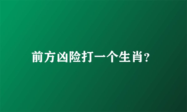 前方凶险打一个生肖？