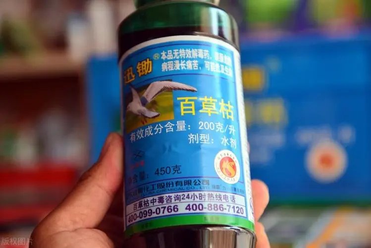 河北18岁女孩被姐夫投毒百草枯,凶手这么做是出于什么心理?