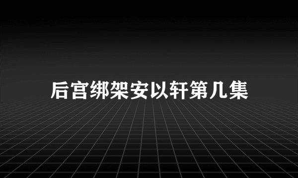 后宫绑架安以轩第几集
