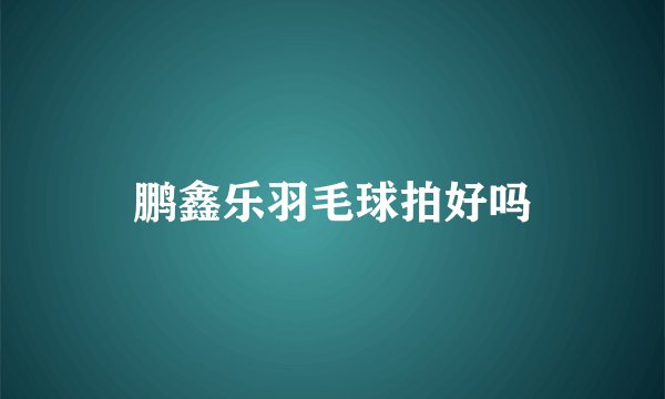 鹏鑫乐羽毛球拍好吗