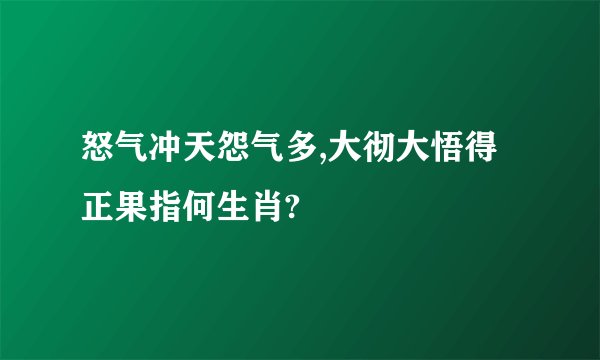 怒气冲天怨气多,大彻大悟得正果指何生肖?