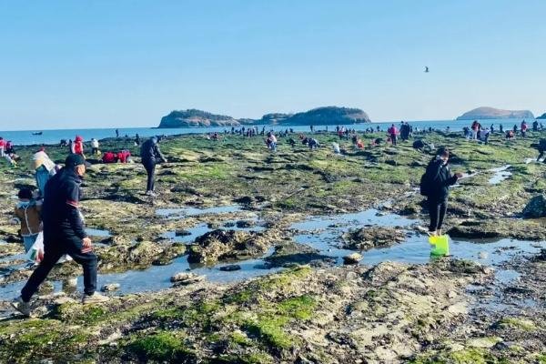 大连赶海潮汛时间表2024