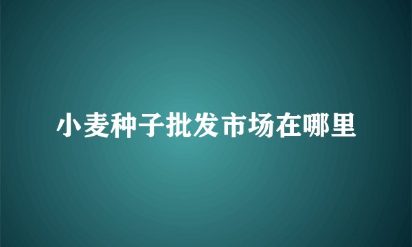 小麦种子批发市场在哪里